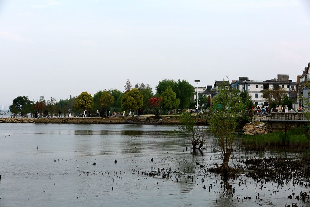 L_JY3113_����.jpg