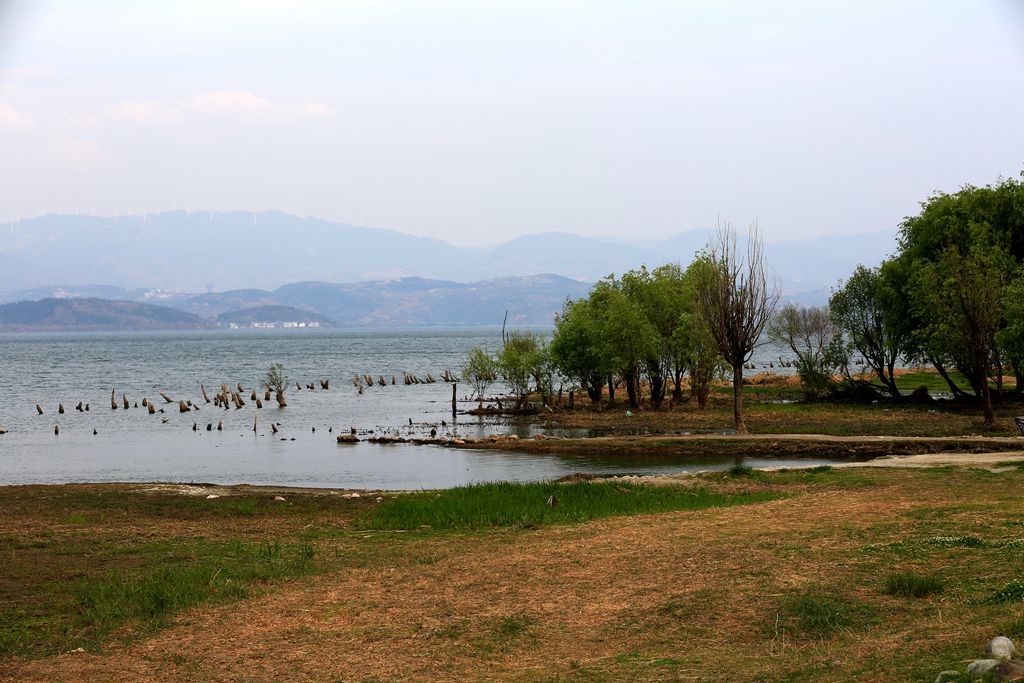 L_JY3130_����.jpg