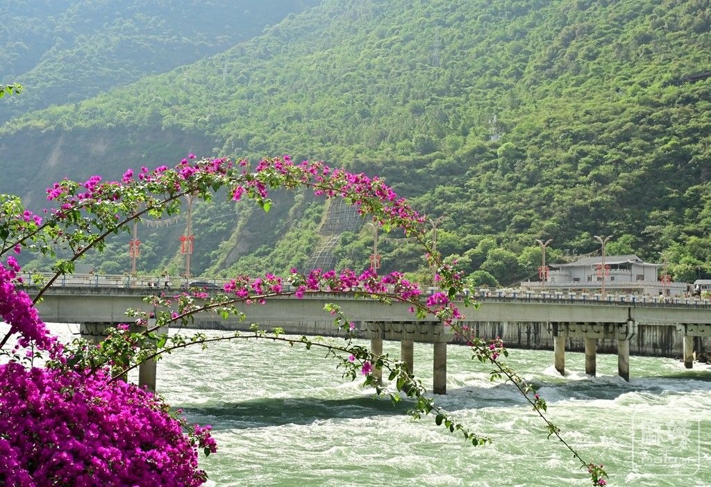 ����麿�005.jpg
