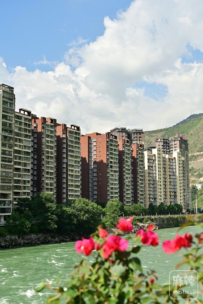 ����麿�008.jpg