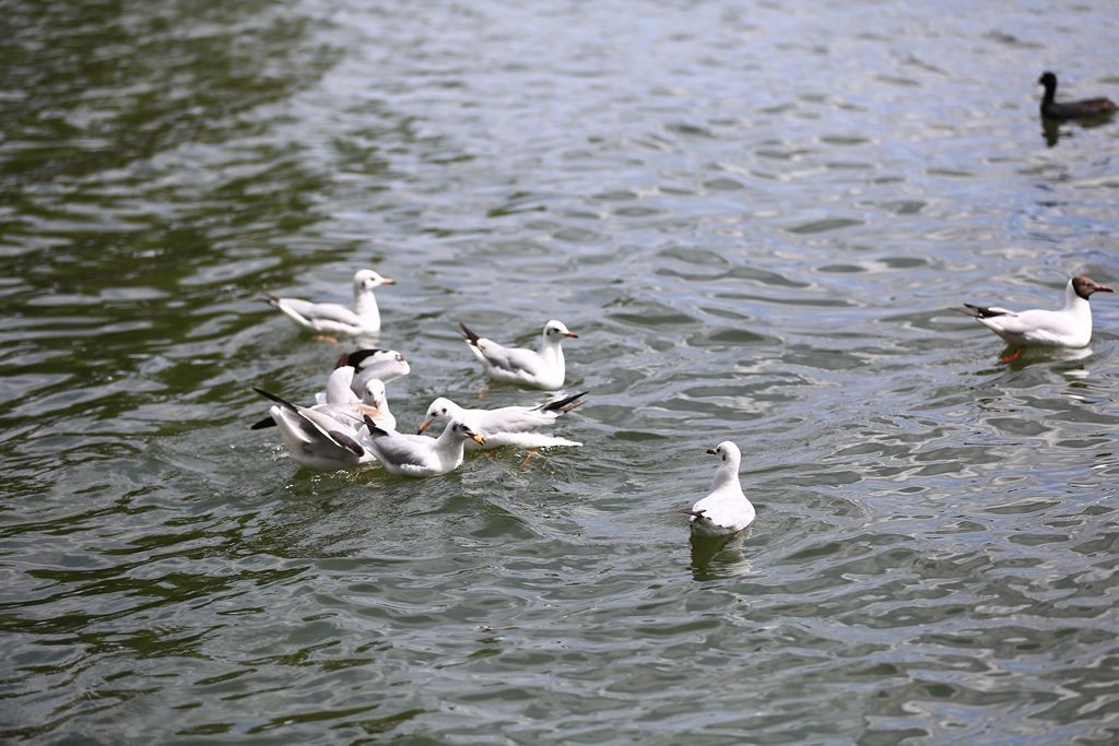 L_JY3459_����.jpg