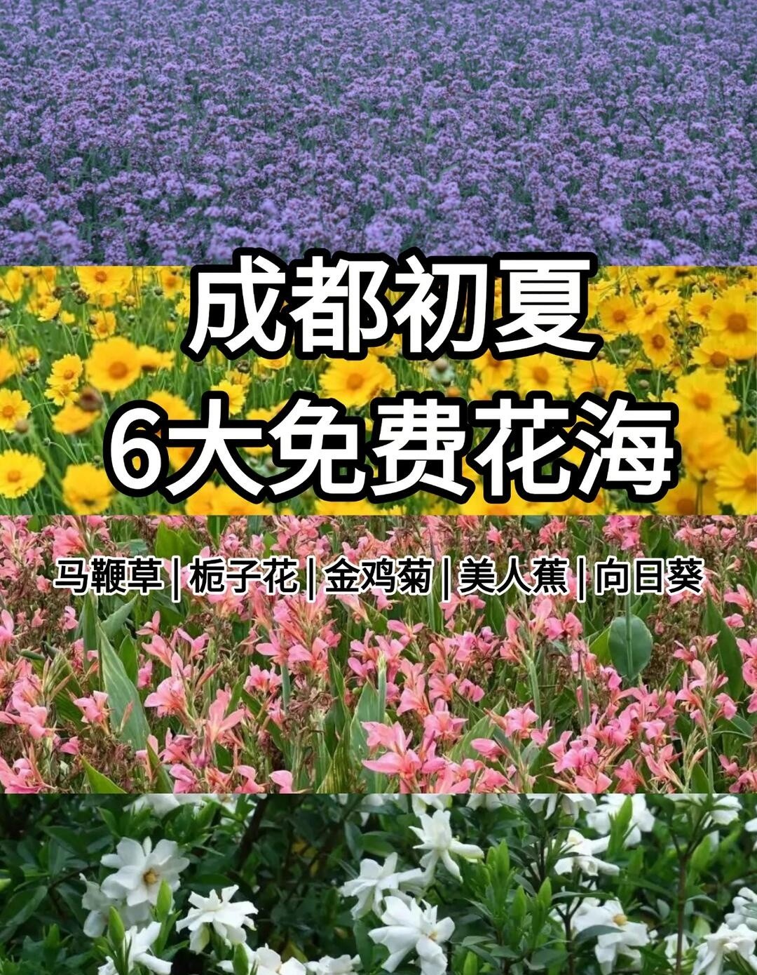image_1.jpg