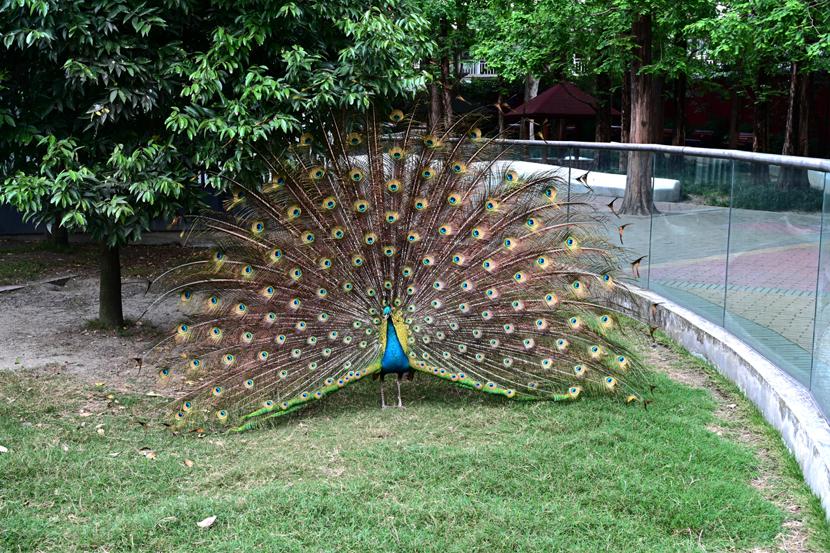 DSC_2883_����.jpg