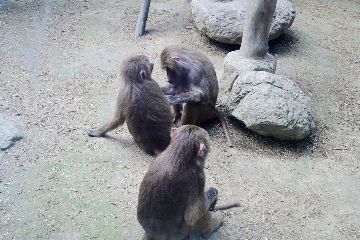DSC_2921_����.jpg