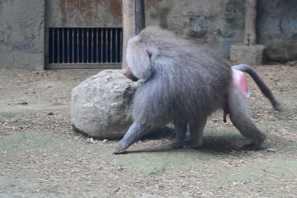 DSC_2934_����2.jpg