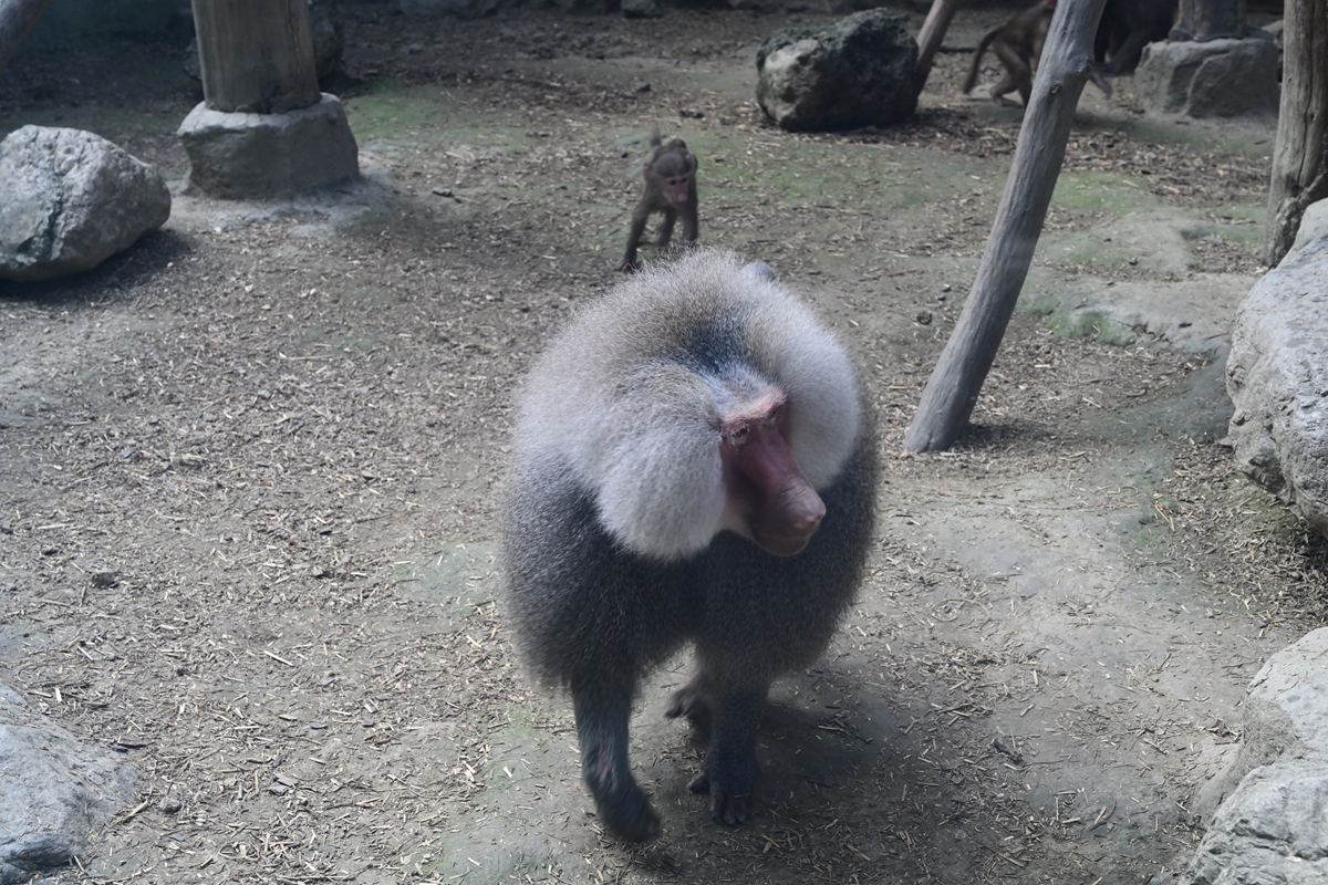 DSC_2949_����.jpg