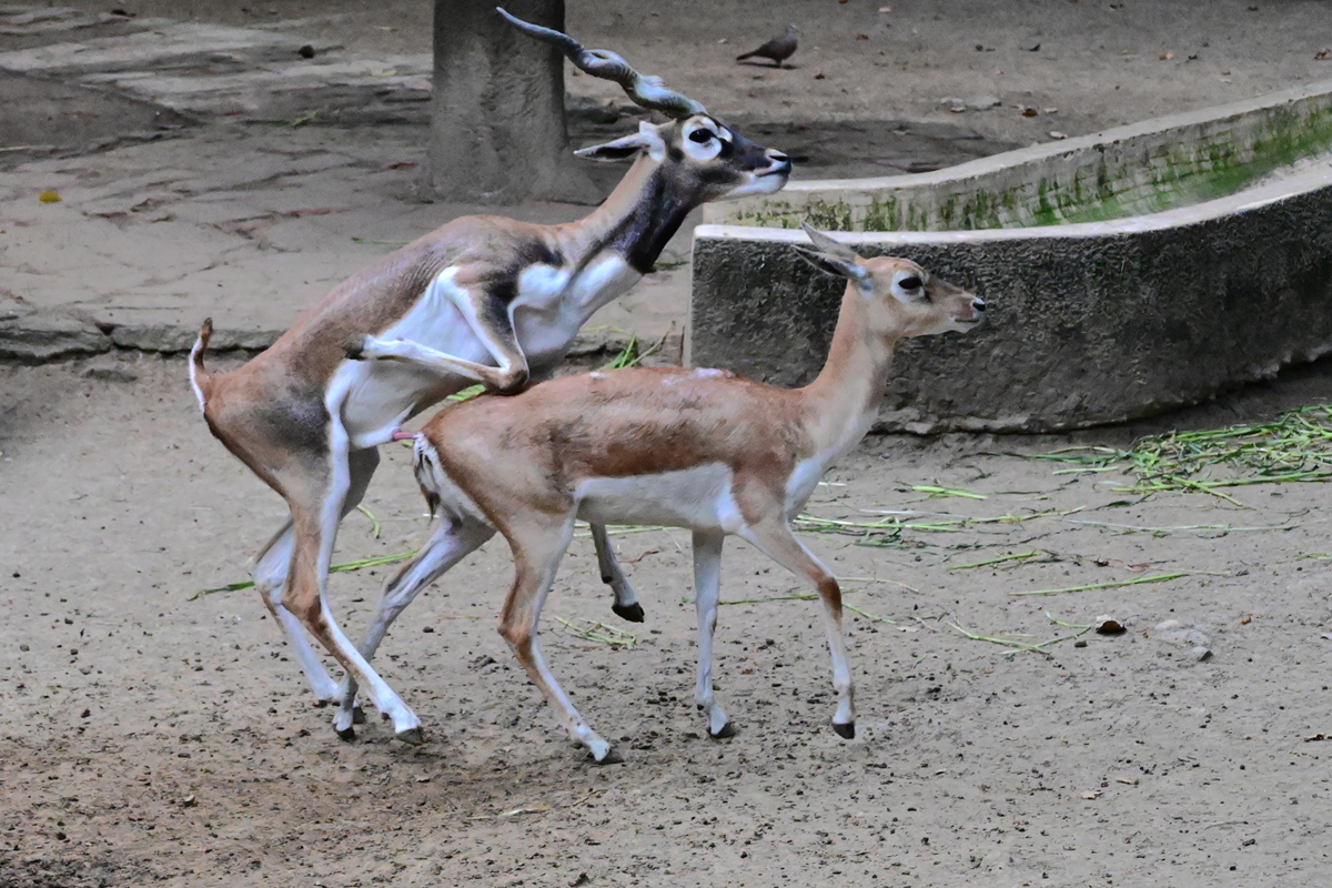 DSC_3014_����.jpg