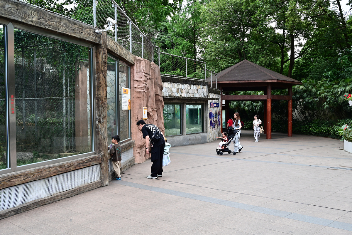 DSC_3087_����.jpg