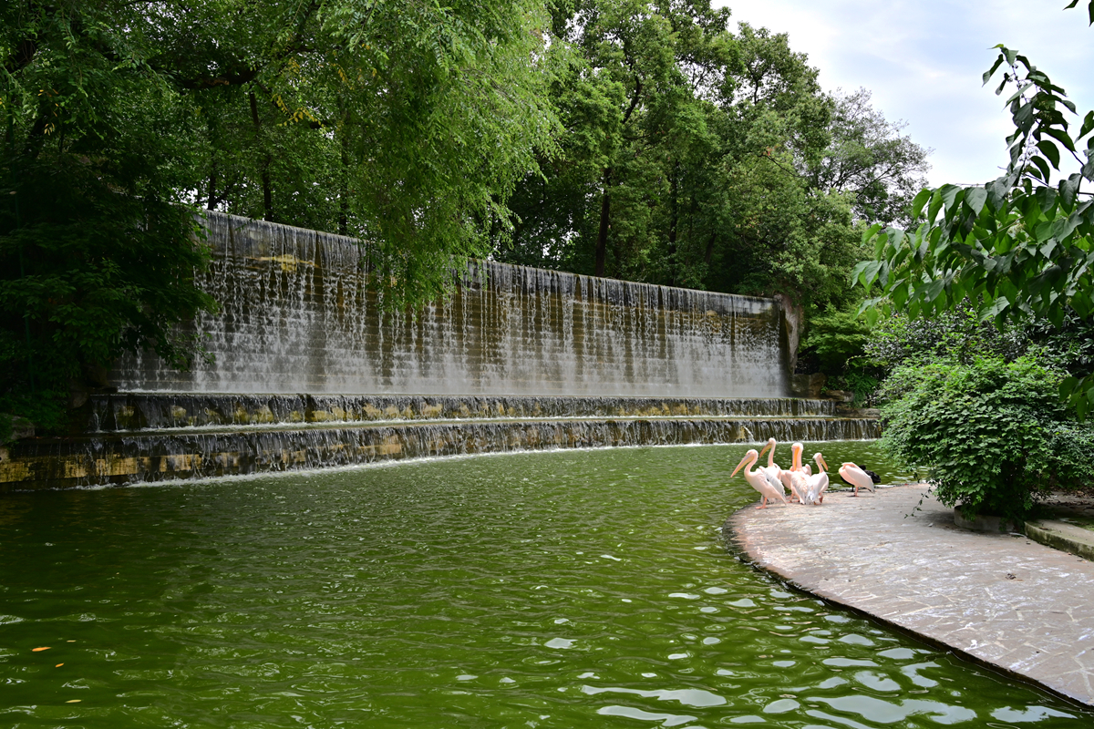 DSC_3231_����.jpg