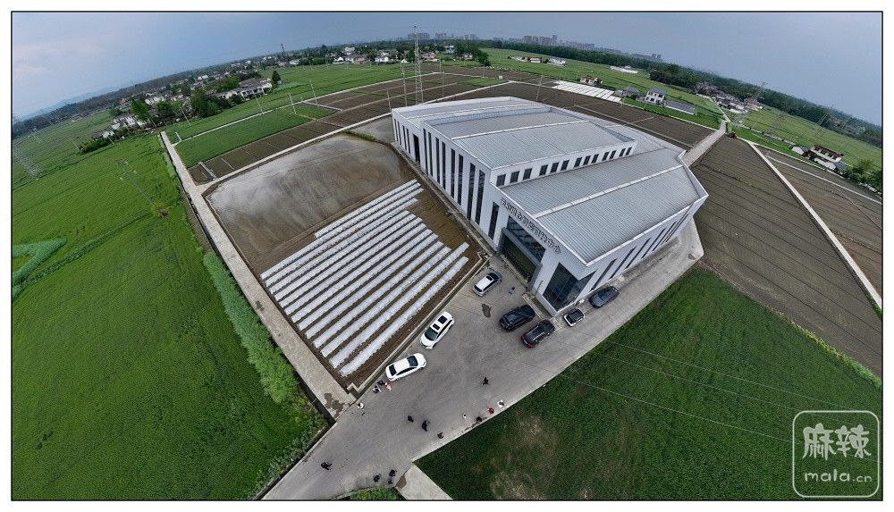 dji_export_20260403_174523_1775209523800_sphere_screenshot.jpg
