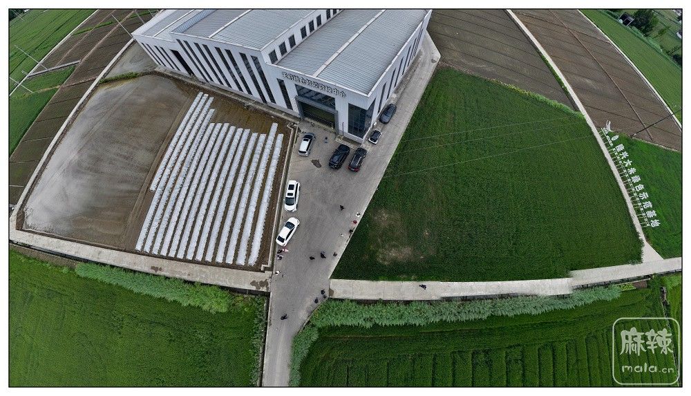 dji_export_20260403_174540_1775209540182_sphere_screenshot.jpg