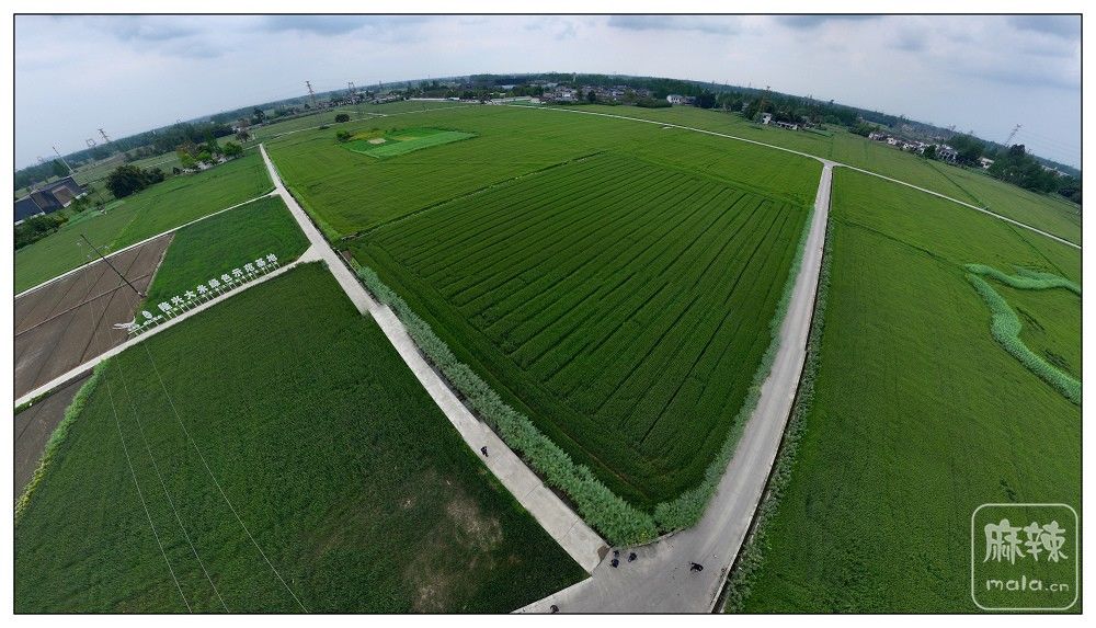 dji_export_20260403_174453_1775209493612_sphere_screenshot.jpg