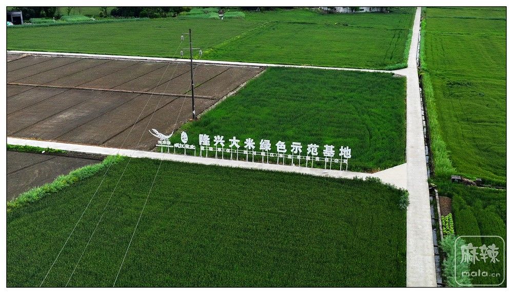 dji_export_20260403_174444_1775209484978_sphere_screenshot.jpg