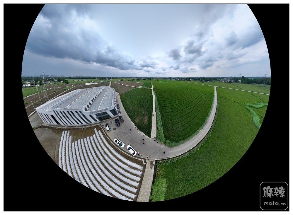 dji_export_20260403_174736_1775209656780_sphere_screenshot.jpg