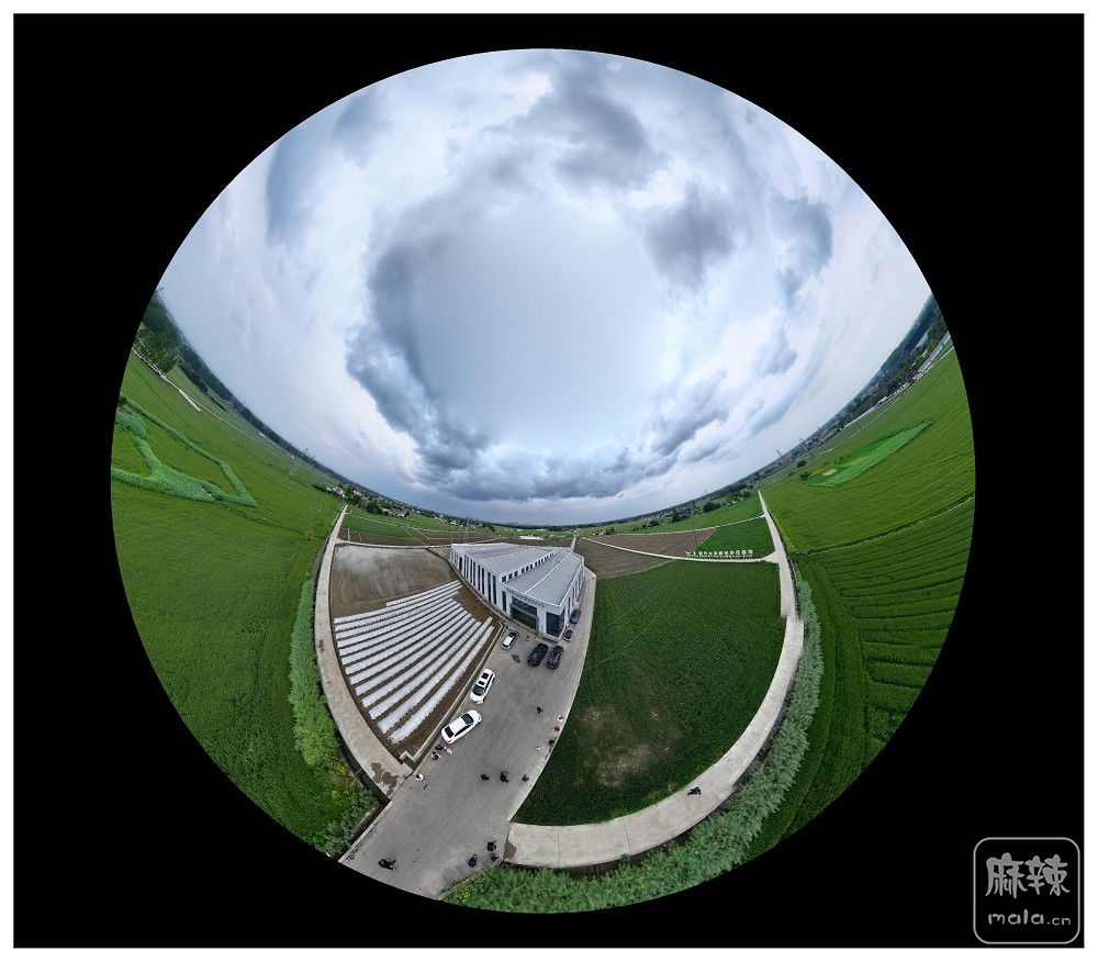 dji_export_20260403_174800_1775209680403_sphere_screenshot.jpg