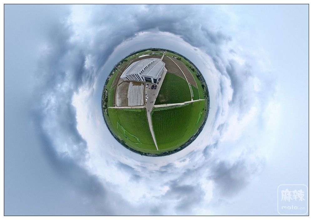 dji_export_20260403_174727_1775209647515_sphere_screenshot.jpg