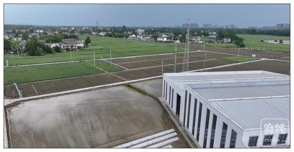 PANO0012.jpg