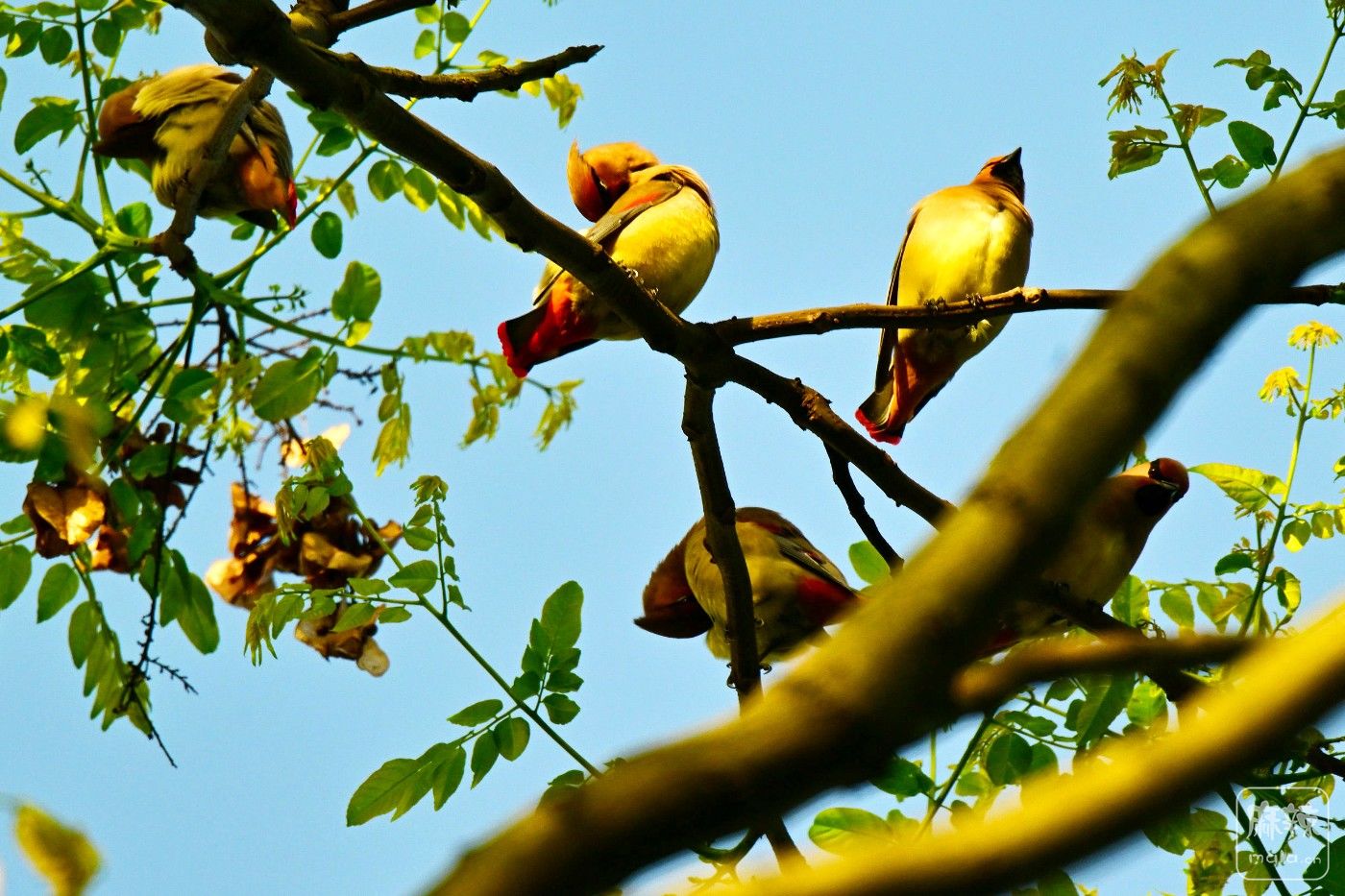 DSC_1054.JPG