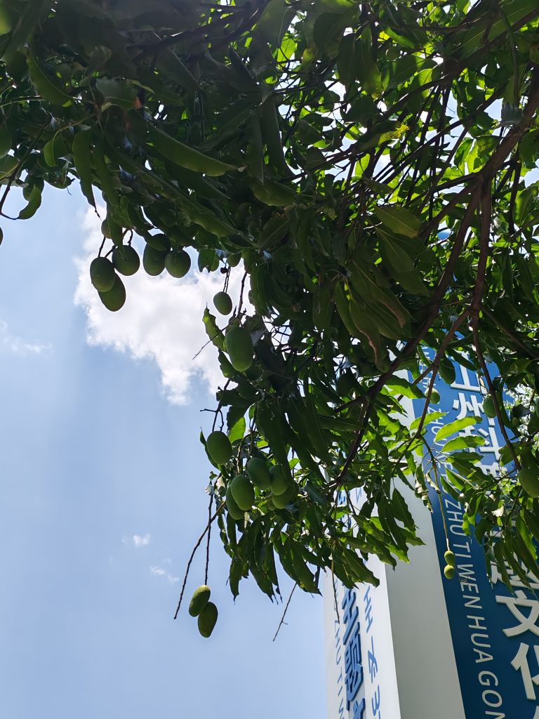 20260529090845front2_0_815037_Fjg-cunpymetOgggi52GF2UEdu-t.jpg