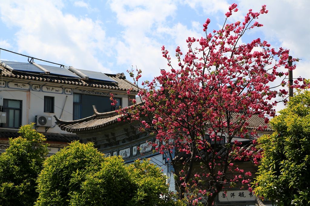 L_JY3835_����.jpg