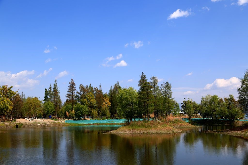 L_JY3838_����.jpg