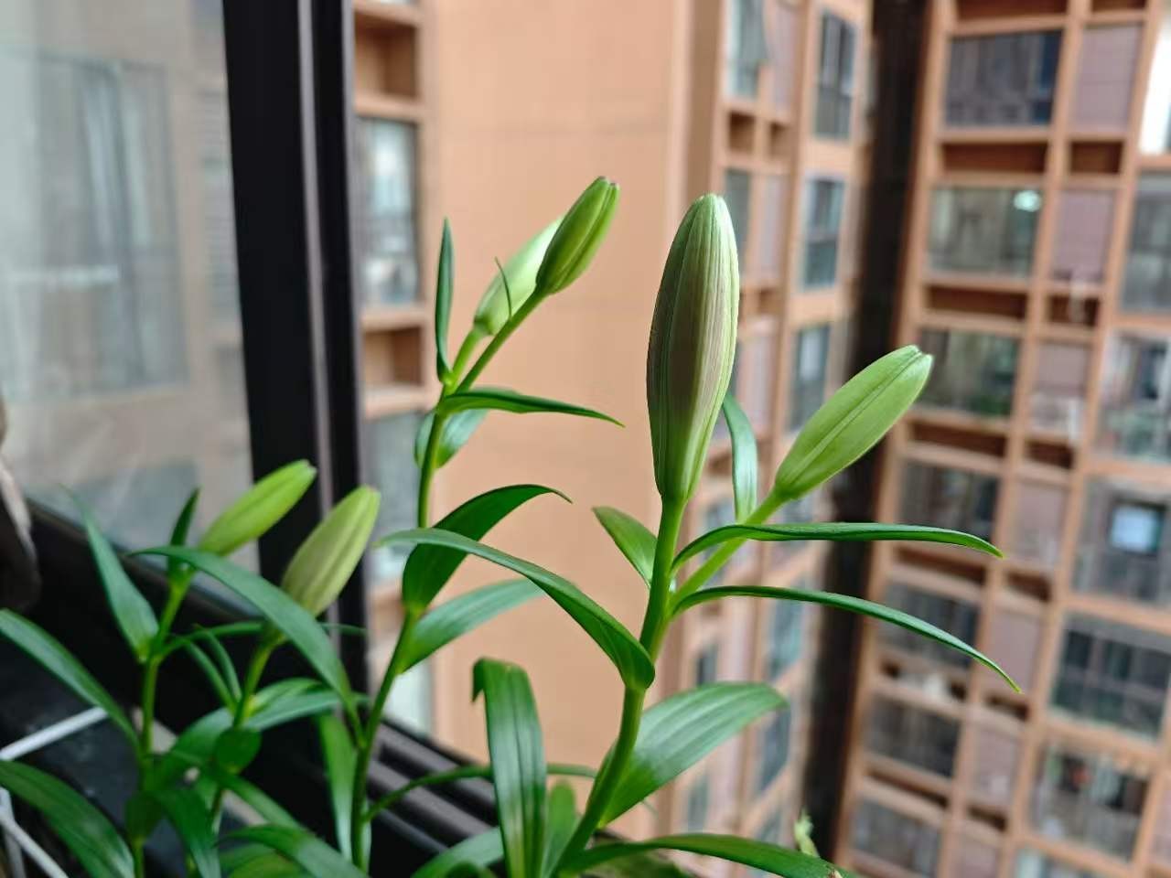 ΢��ͼƬ_20260529113820_36_99.jpg