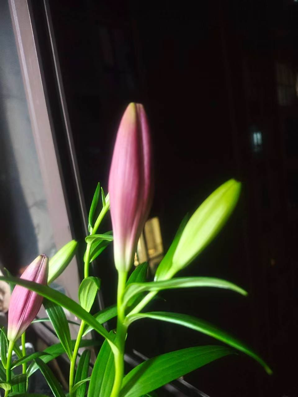 ΢��ͼƬ_20260529113823_38_99.jpg