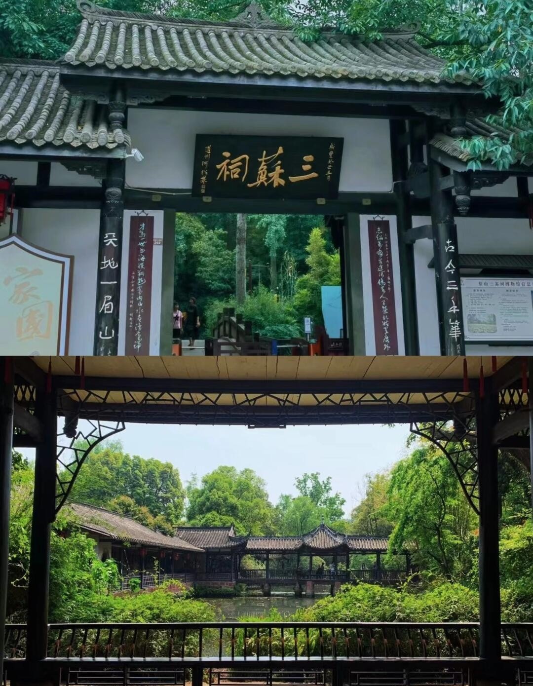 image_7.jpg