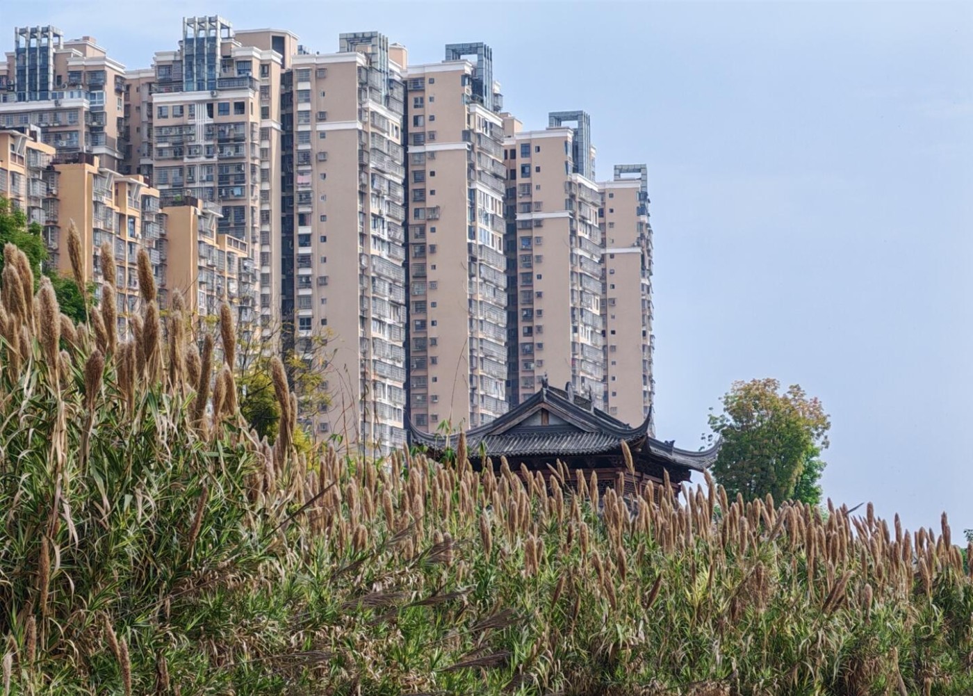 image_16.jpg