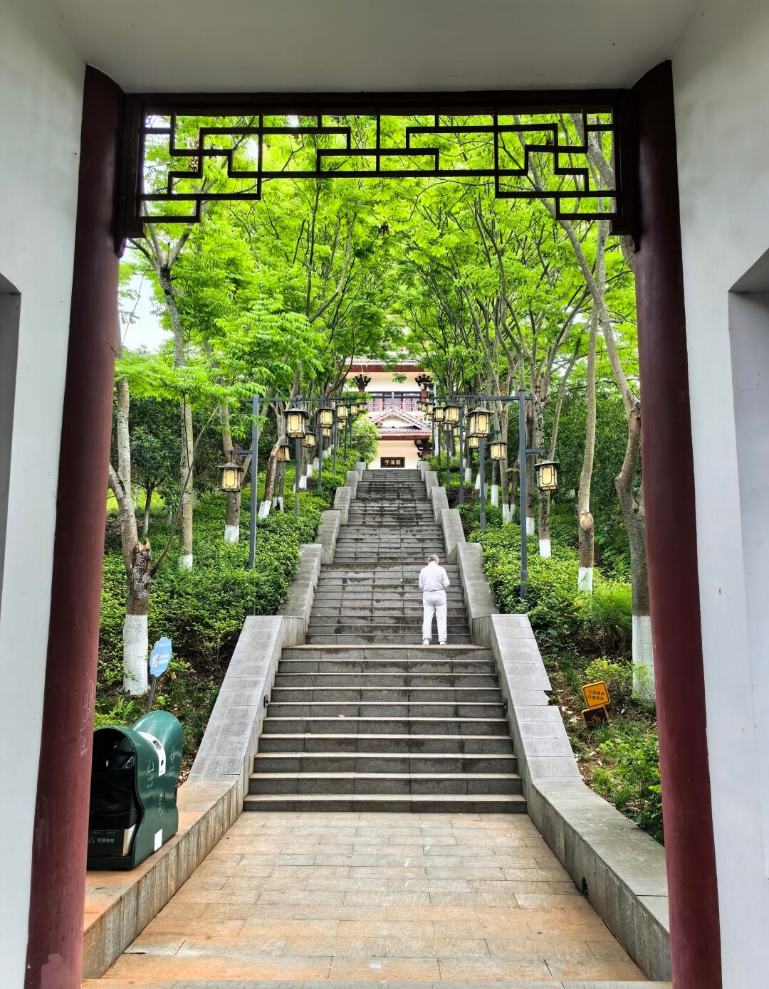 image_5.jpg
