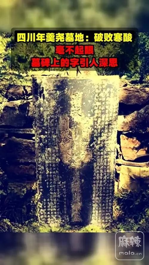 dd4b2d49fc1a46e58d288f66c7118580~tplv-tt-origin-web:gif.jpeg