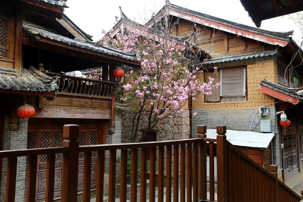 L_JY3874_����.jpg