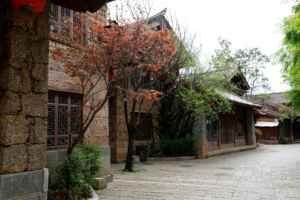L_JY3997_����.jpg