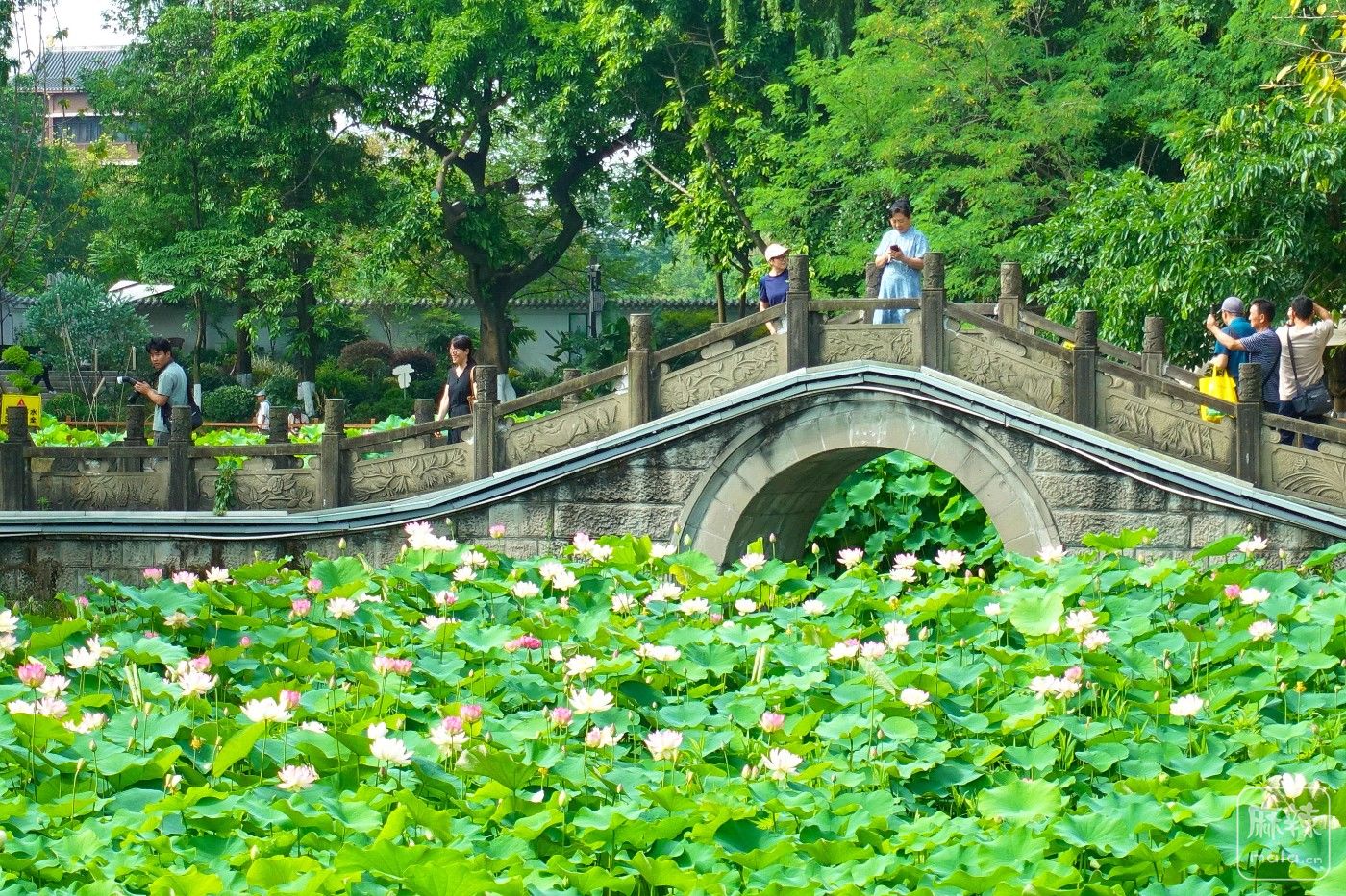 DSC04041.JPG