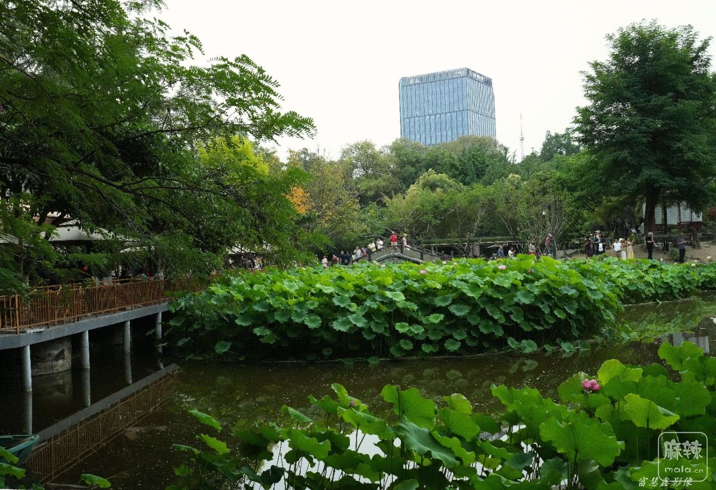 DSC04983_����.jpg