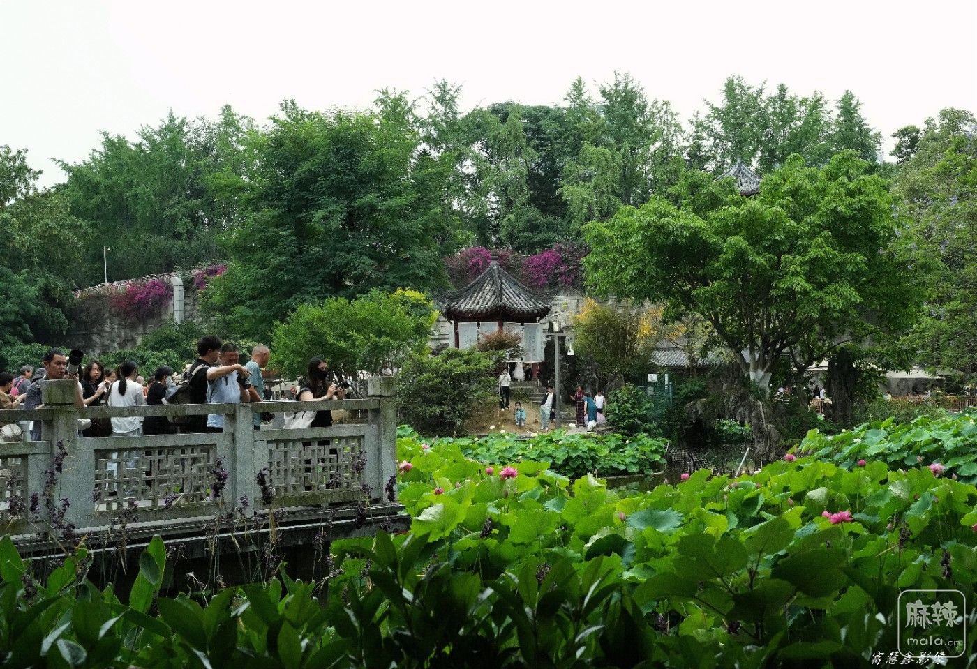 DSC04999_����.jpg