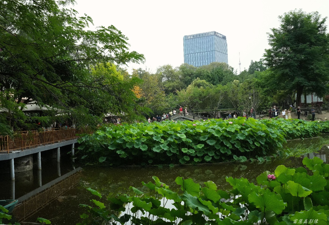 DSC04983_����.jpg