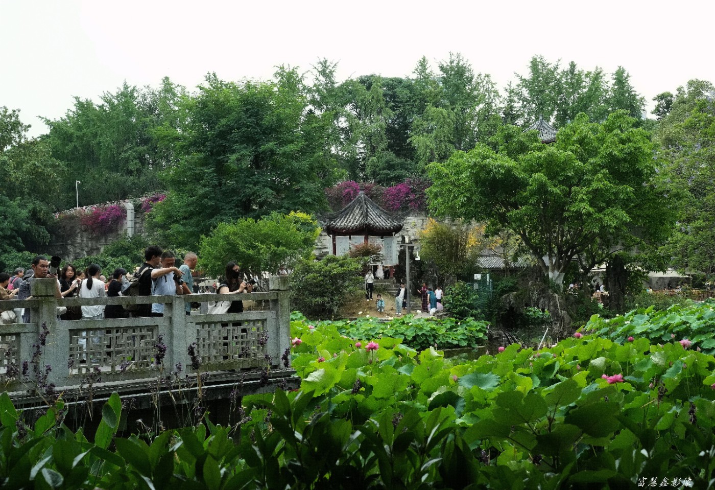 DSC04999_����.jpg