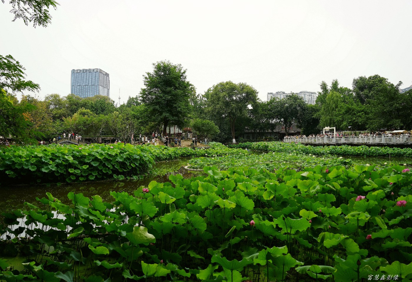 DSC04984_����.jpg