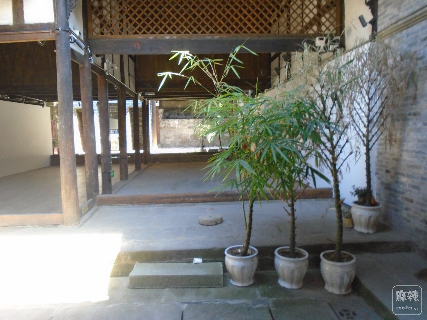 DSC00046.JPG
