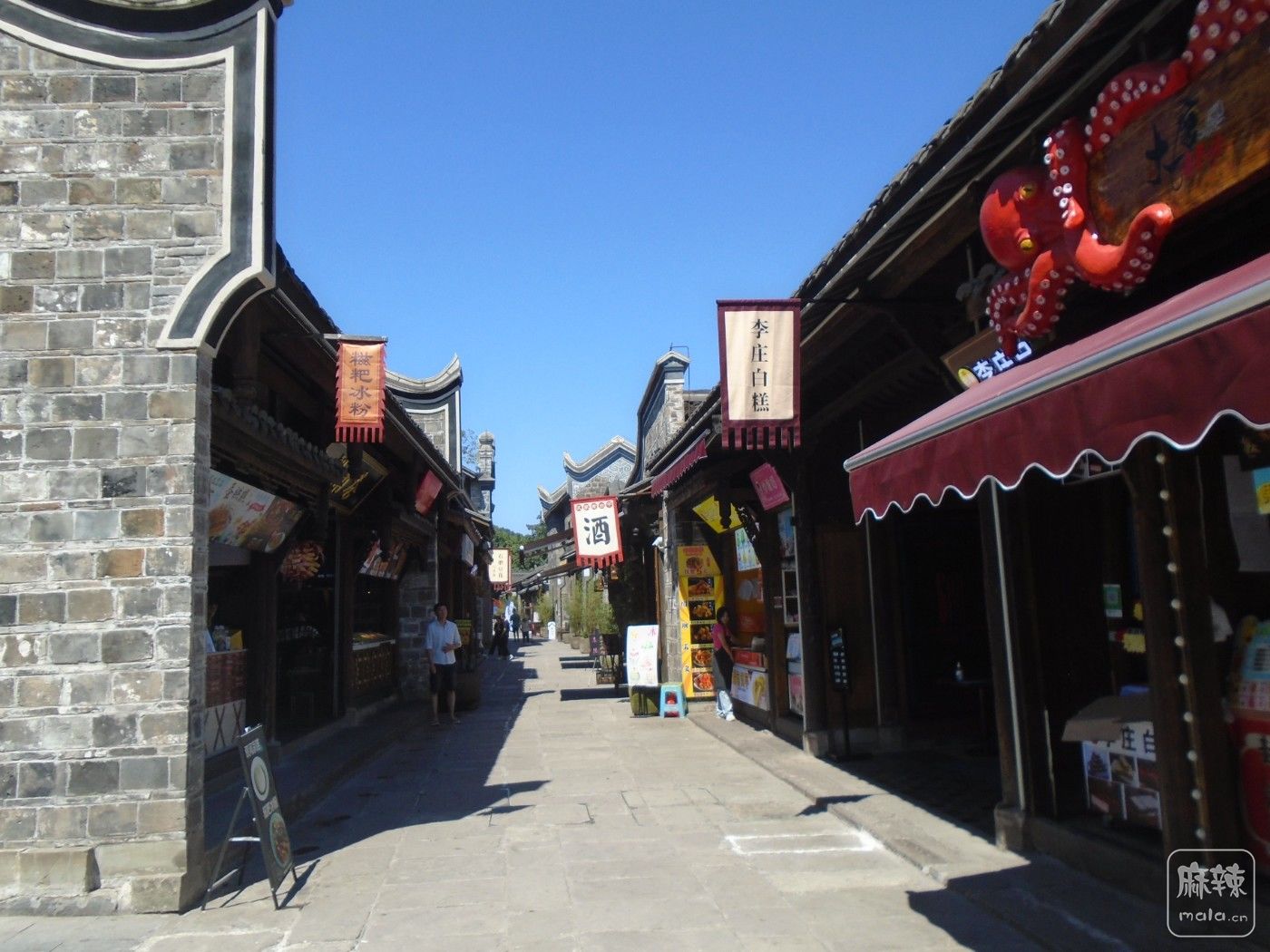 DSC00085.JPG