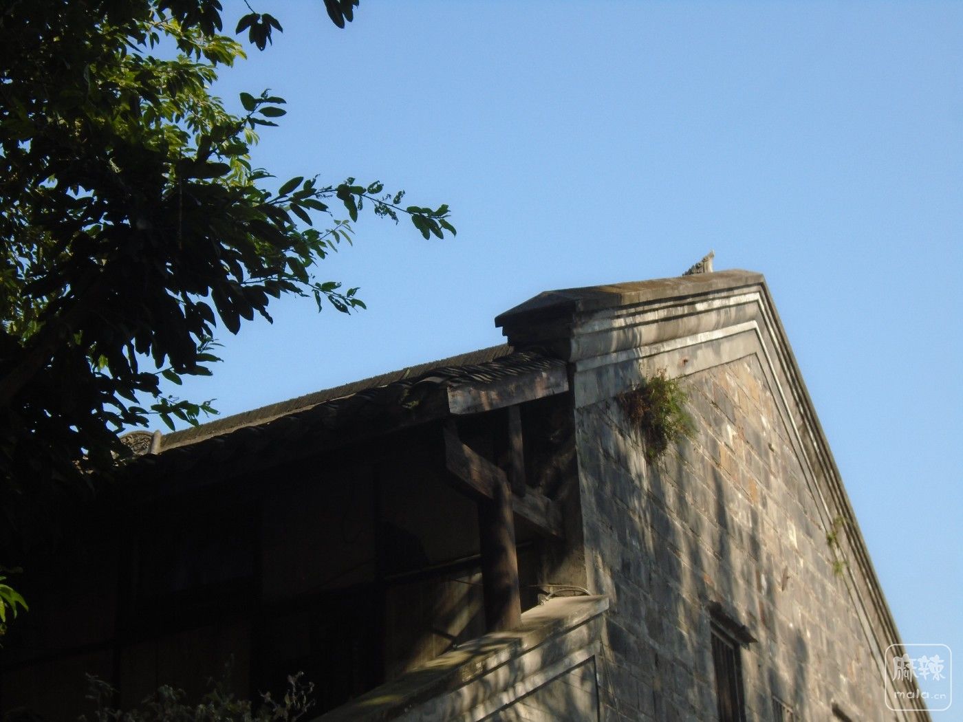 DSC00096.JPG