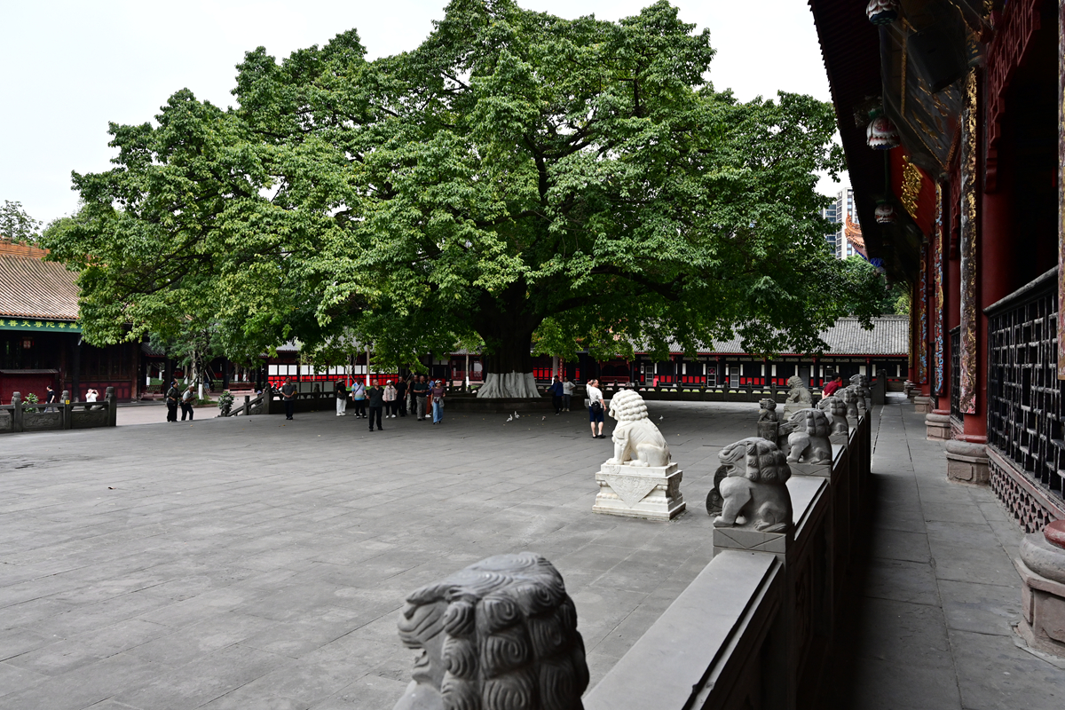 DSC_3272_����.jpg