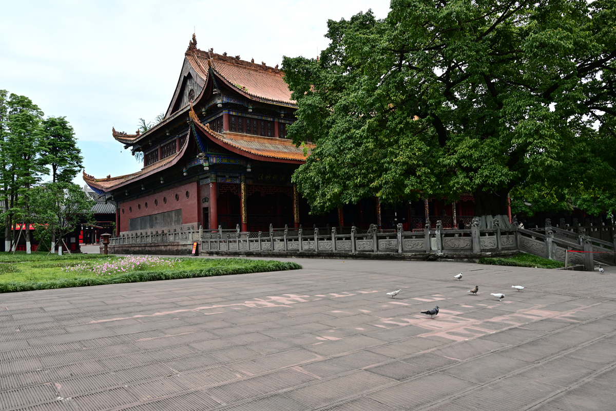 DSC_3264_����.jpg
