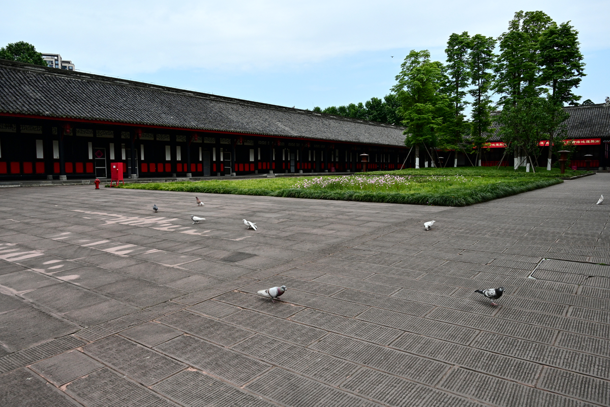 DSC_3263_����.jpg