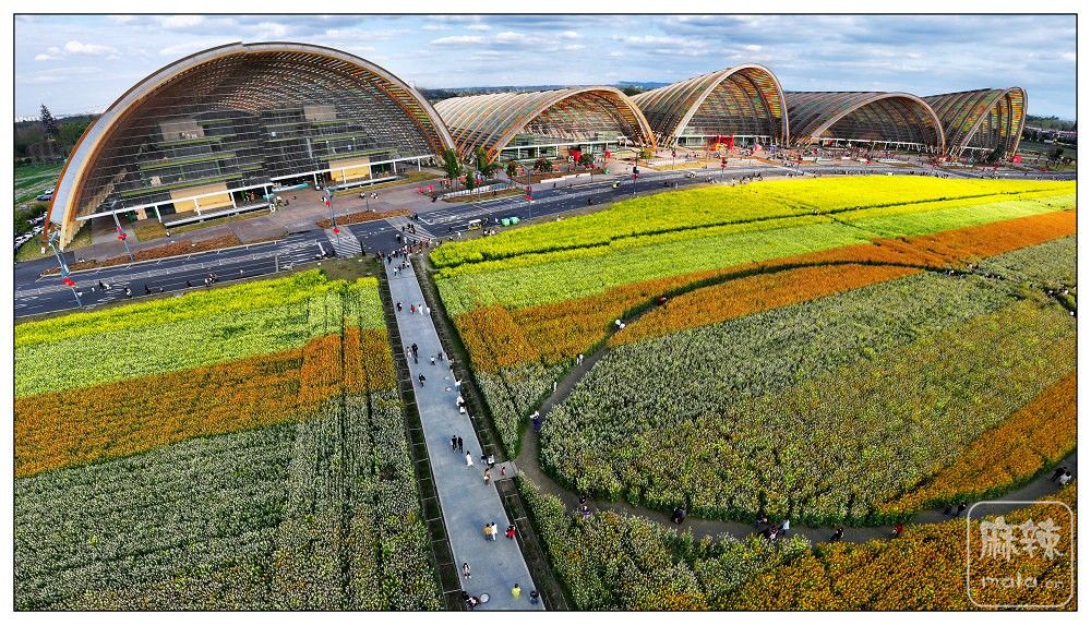 dji_export_20260302_160759_1772438879118_sphere_screenshot.jpg