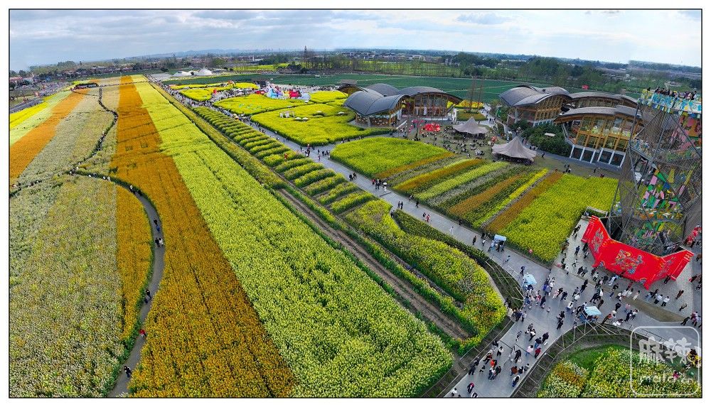 dji_export_20260302_160941_1772438981597_sphere_screenshot.jpg
