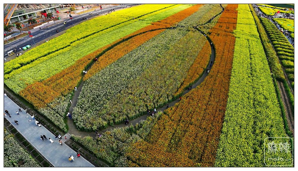 dji_export_20260302_160905_1772438945996_sphere_screenshot.jpg