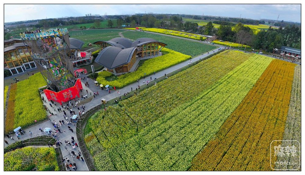 dji_export_20260302_161009_1772439009713_sphere_screenshot.jpg