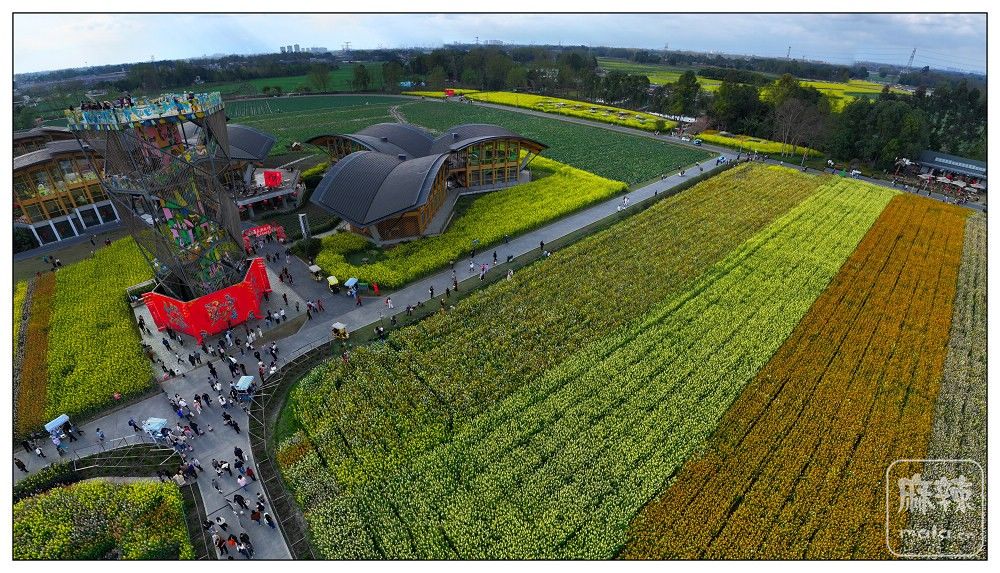 dji_export_20260302_160954_1772438994851_sphere_screenshot.jpg